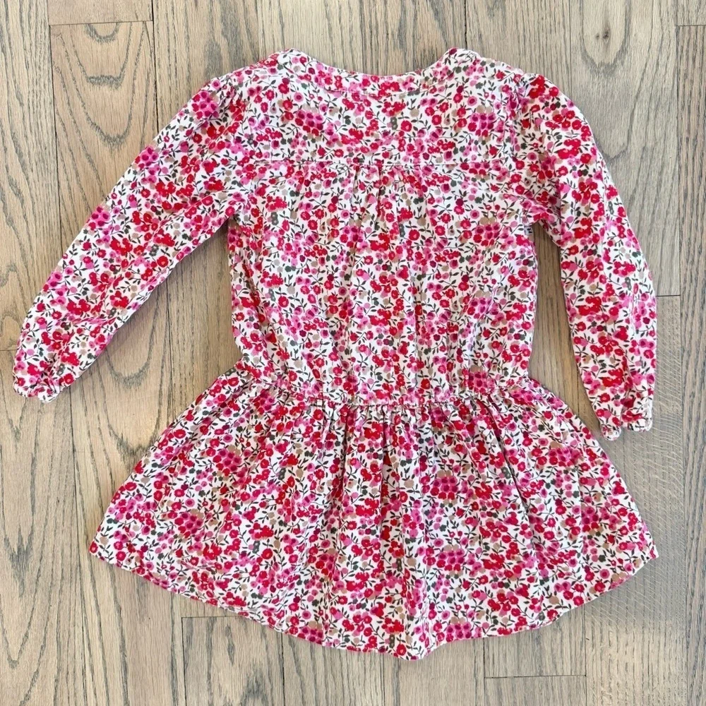 Old Navy Girls Corduroy Floral Red, Pink and White Dress with Ruffled Chest 5T